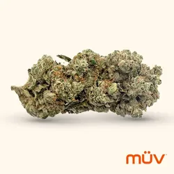 Gator Breath from  product image
