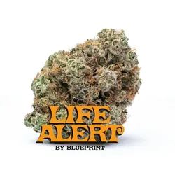Life Alert from  product image