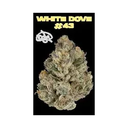 White Dove #43 Eighth from  product image