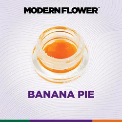 Banana Pie Live Terpene Sauz from  product image