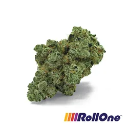 Snowy Life Flower from  product image