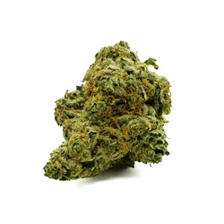 College Park Diamond Infused Flower from  product image