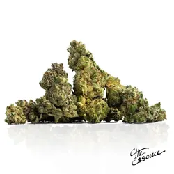 Wino #9 from  product image