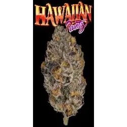 Hawaiian Runtz #8 Eighth from  product image