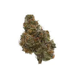 Apple Fritter from  product image