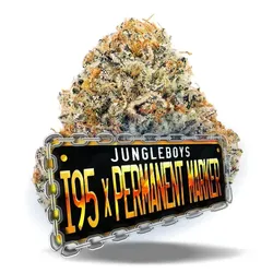 I-95 x Permanent Marker - Premium Flower from  product image