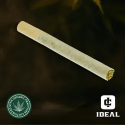 Divine Banana from  product image