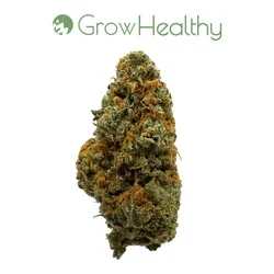 Strawpaya Flower from  product image