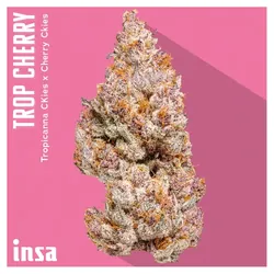 Trop Cherry -  cannabis product