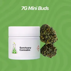 Rainbow Sherbert Mini Buds - 7g from  product image