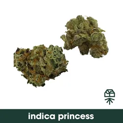 Indica Princess from  product image