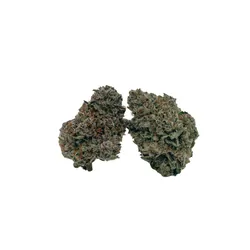 Chronic CKE from  product image