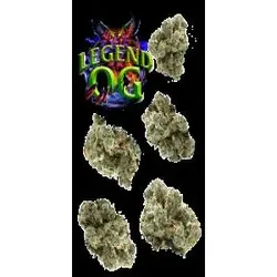 Legend OG 7g Juniors from  product image