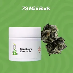 Hawaiian Lion Mini Buds - 7g from  product image