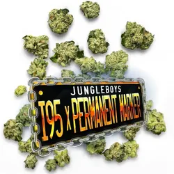 I-95 x Permanent Marker - Pops from  product image
