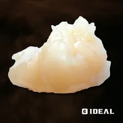Moroccan Peaches from  product image