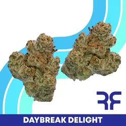 Daybreak Delight from  product image