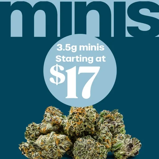 minis Starting at $17