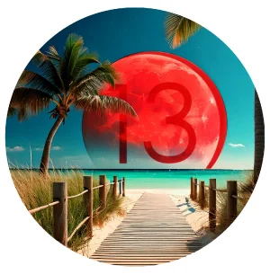 $23 for 4 Planet 13 Pre-rolls 1g