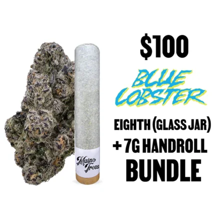 $100 Blue Lobster Bundle