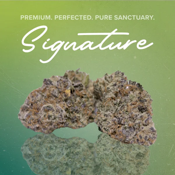 Signature Flower $26 Each