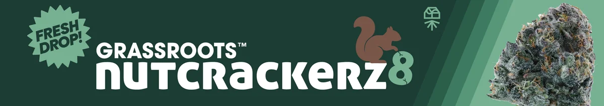 Launch: Grassroots Nutcrackerz 8