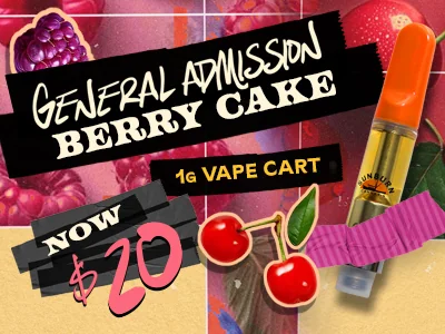 Berry Cake Vapes: $20
