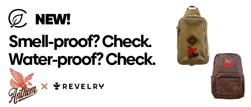 Anthem x Reverly