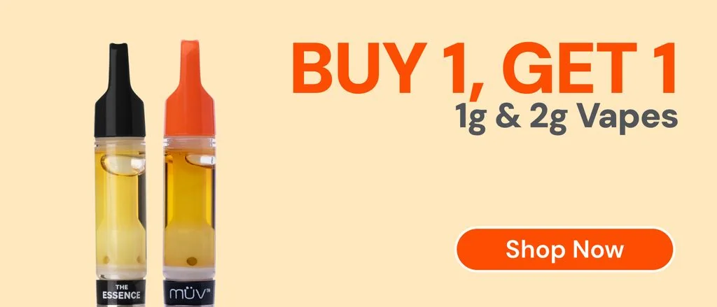 Buy one 1g or 2g vape, get one