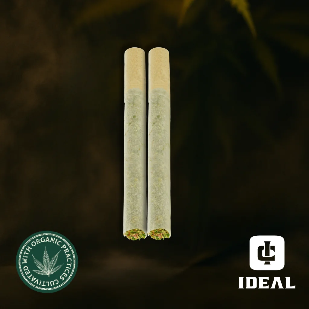 $10 multipack 0.5g Prerolls