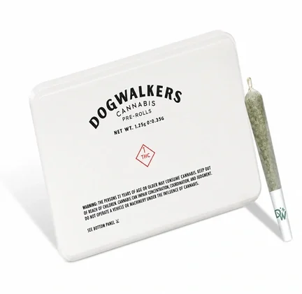 DealGo for a walk2 for $30Dogwalkers minis
