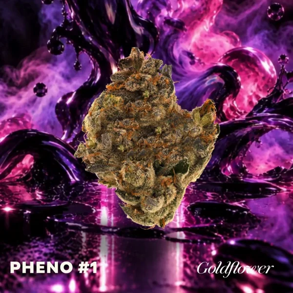 3 Pack $26 Flight - Forever Fumez