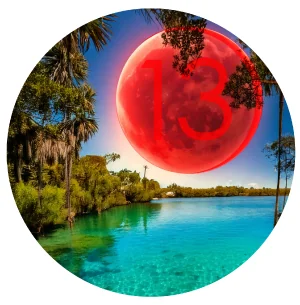 $15 Build Your Own 5pack of 0.5g Prerolls - Saving $10!