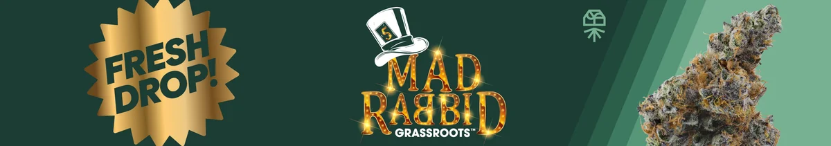 Launch: GR Mad Rabbid