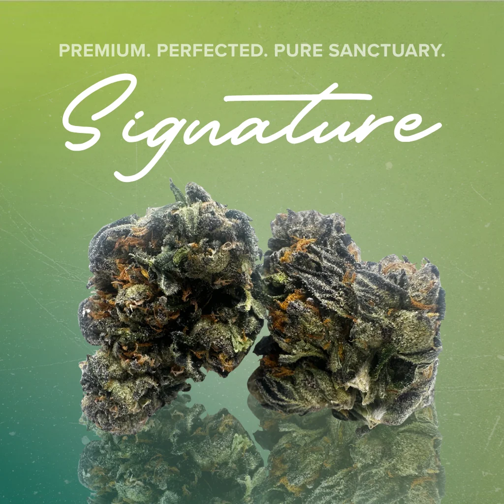Sanctuary Signature Flower 2 for $50