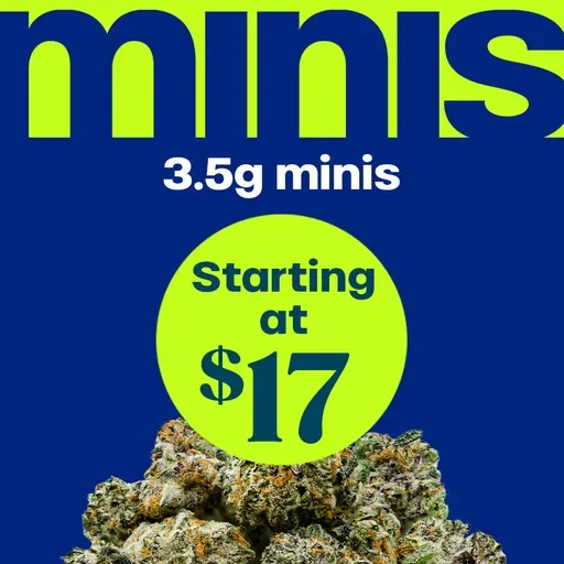 minis Starting at $17