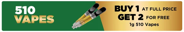 Buy 1, Get 2 FREE Full Gram Vapes