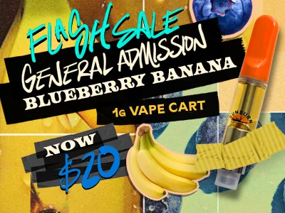 Blueberry Banana 1g Vapes: $20