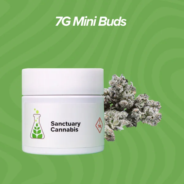 7g Mini Buds $34 Each