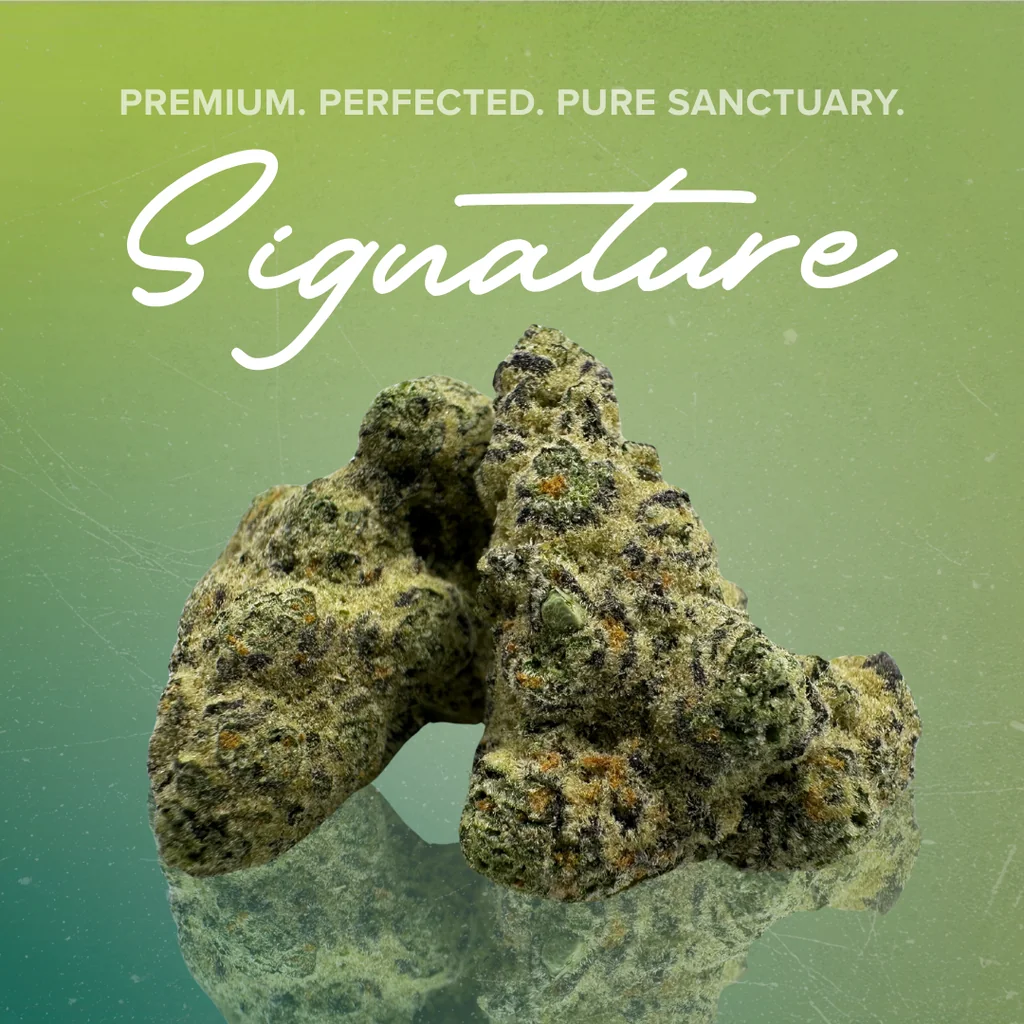 Sanctuary Signature Flower 2 for $50