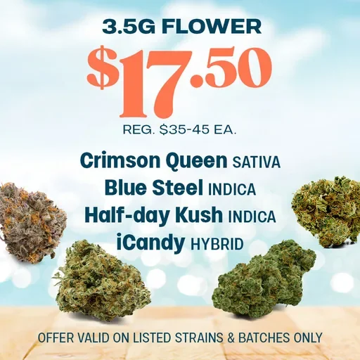 $17.50 Flower Steals