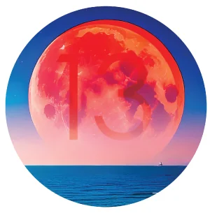 40% Off Tinctures and Topicals