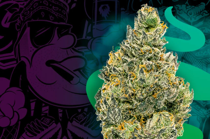 3 for $90 Premium 8ths