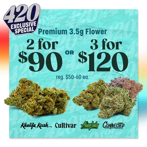 Premium Flower Bundles