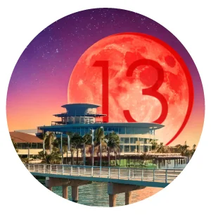 Buy More, Save More: Get 3 for $55 P13 Tier 2 Flower