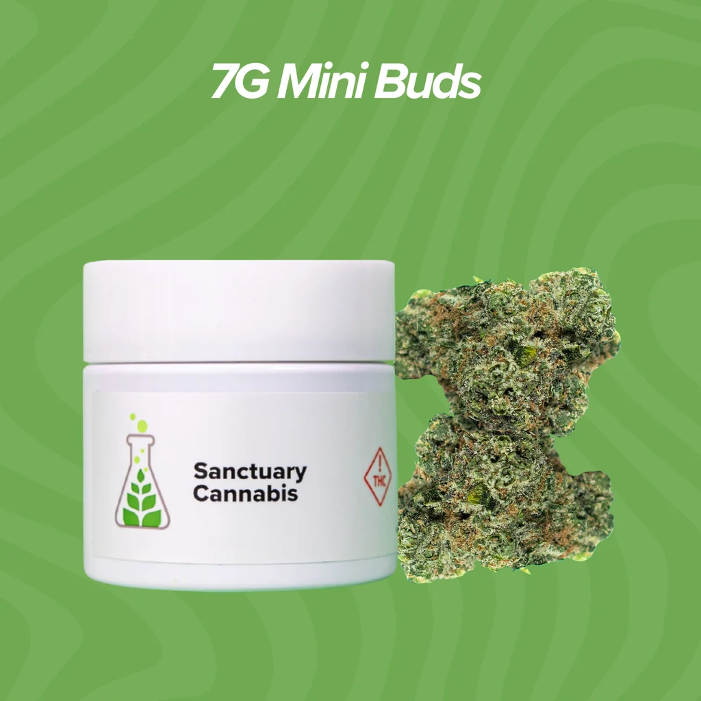 7g Mini Buds $36 Each