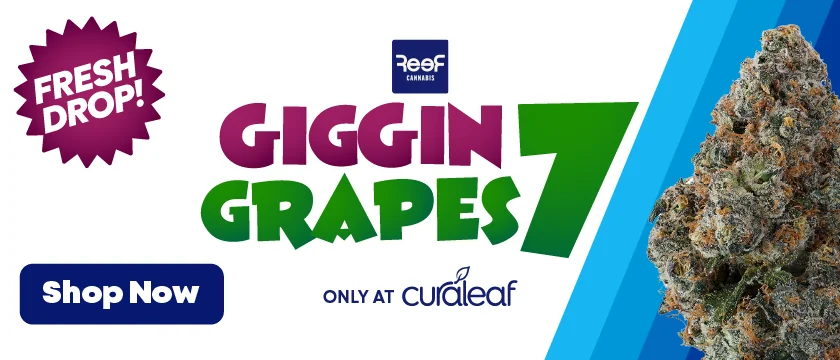 Launch: Reef Giggin Grapes #7