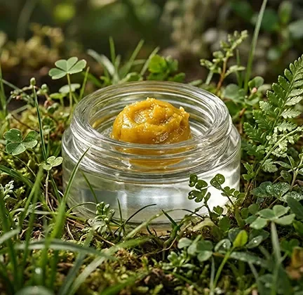 Doorbuster710 Savings4g for $100RYTHM live rosin