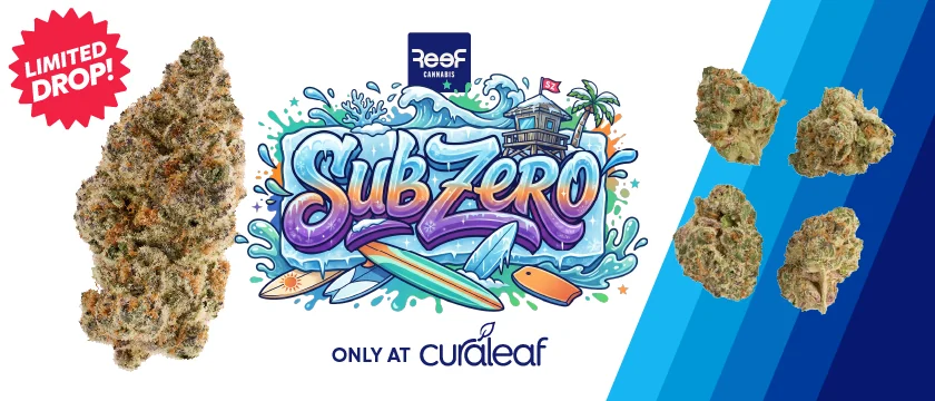 Launch: Reef Sub Zero