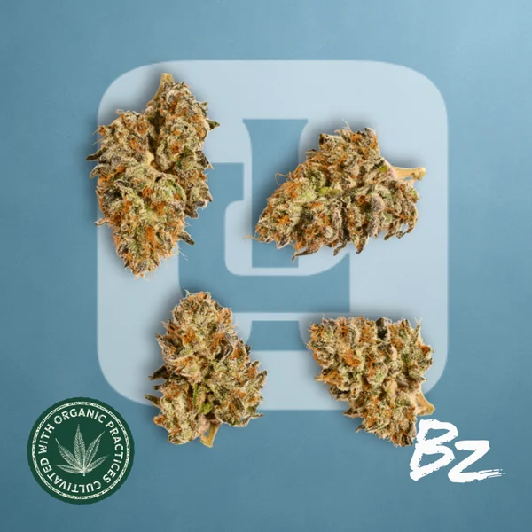 $75 Value 1/2 ounces!